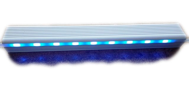 Stufenbeleuchtung Blau LED 50X40mm