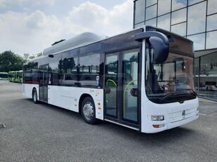 Bugscheibe grün-getönt MAN