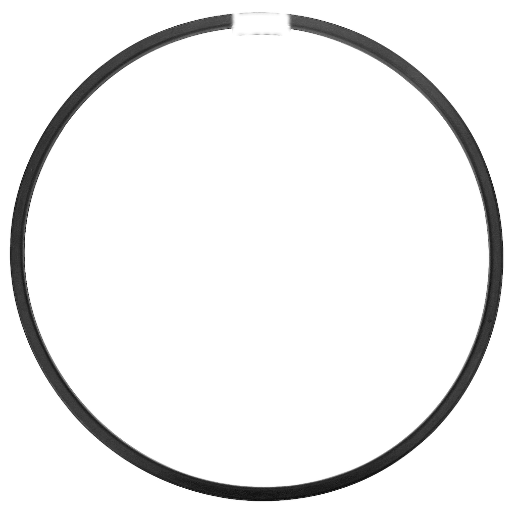 O-RING Radnabe Hinten SCANIA HESS
