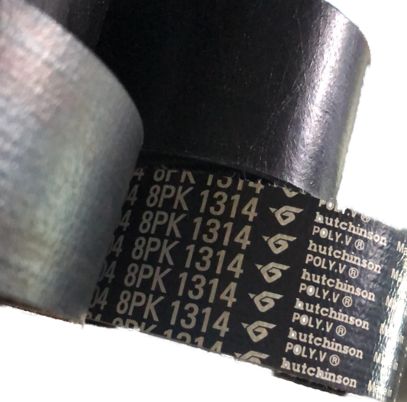 cinghia poly v 8PK1314
